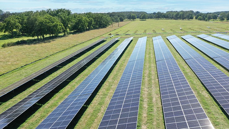 solar farm